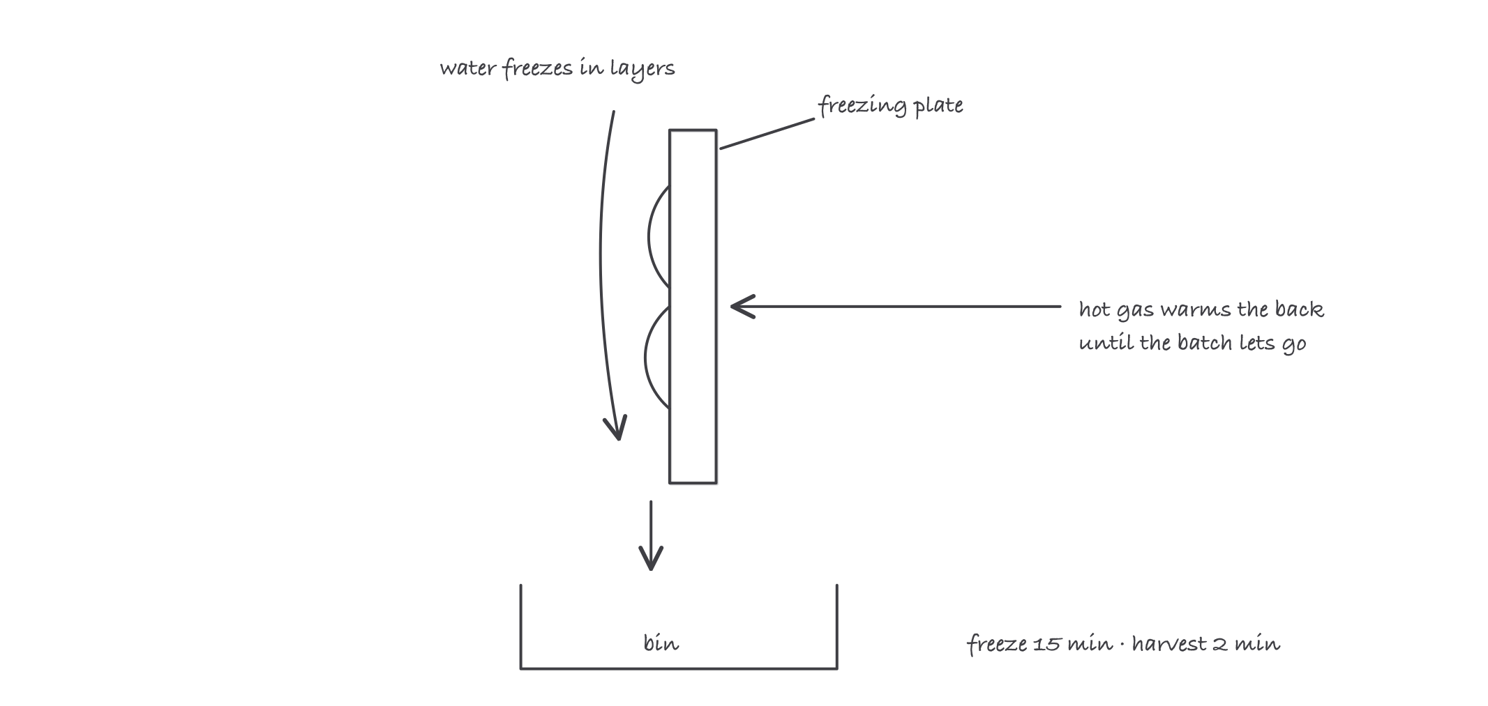 A freezing plate with water flowing over its face building ice, and a hot gas line warming the plate from behind so the finished ice drops into the bin